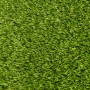 Синтетическая трава - головоломка